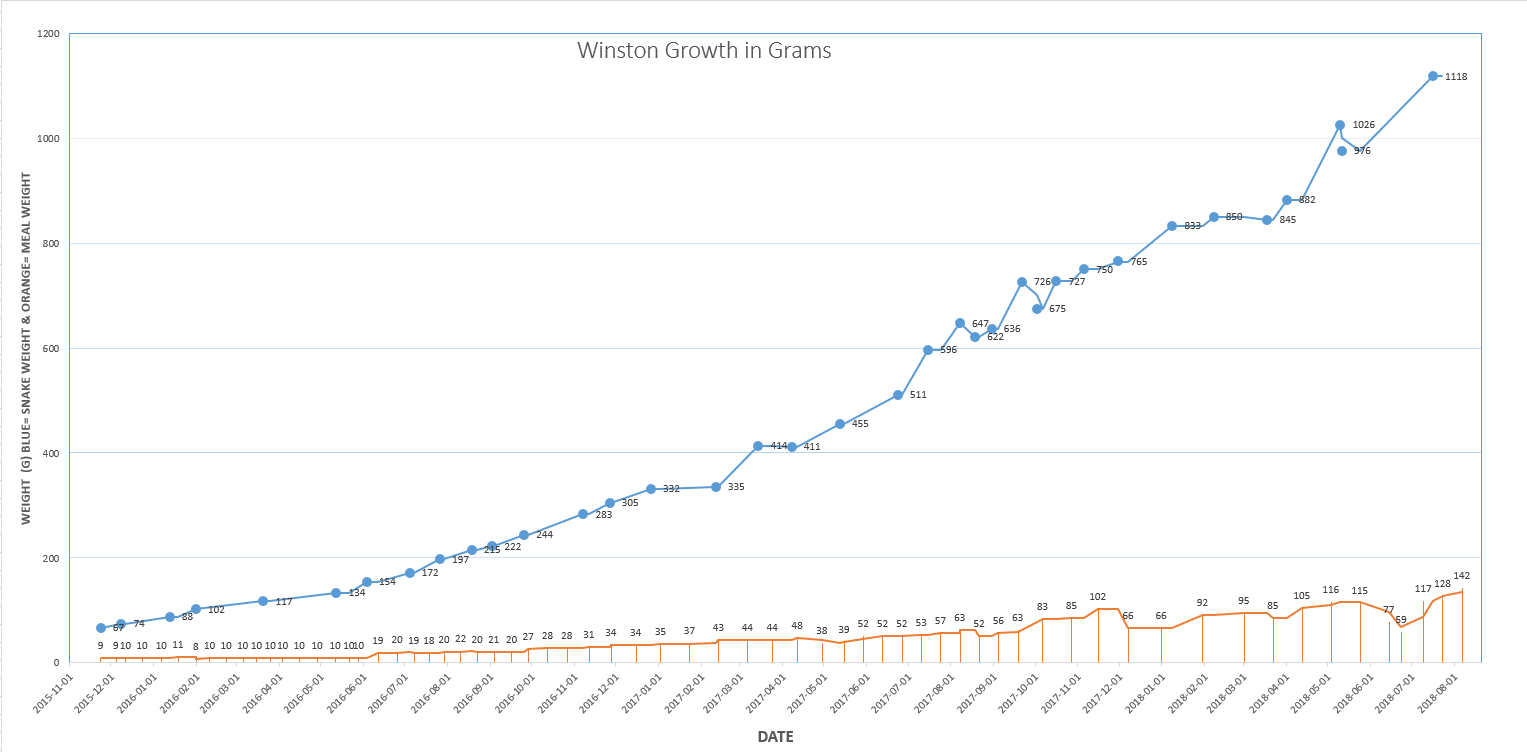 Boa Feeding Chart