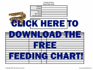 Boa Feeding Chart