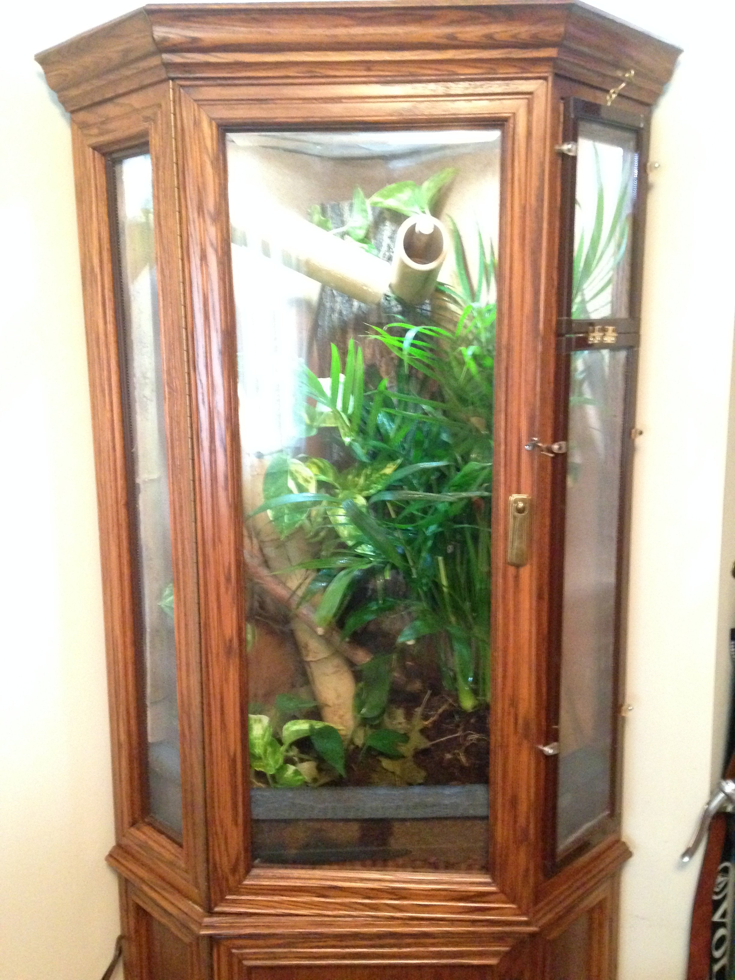 diy chameleon cage diy chameleon cage