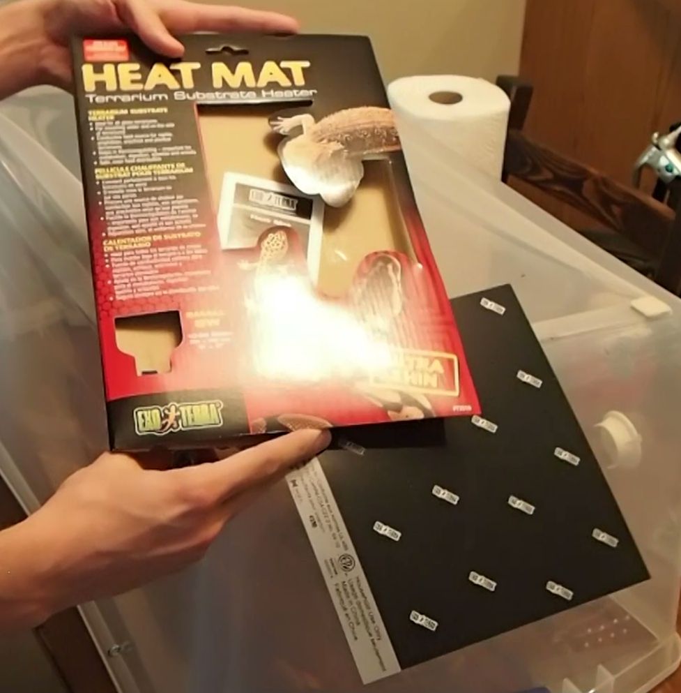 Heat Mat: Brazilian Rainbow Boa Setup Heat Mat: Brazilian Rainbow Boa Setup