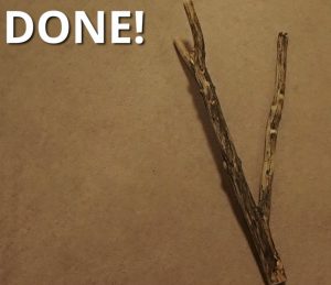 How to Bake wood for reptiles