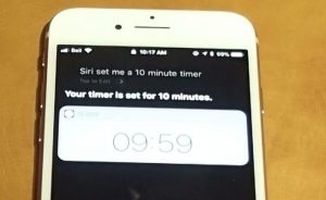 10 Minute timer: Bake Wood for Reptiles