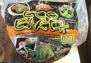 EcoEarth- How to Increase Humidity in a Terrarium EcoEarth- How to Increase Humidity in a Terrarium