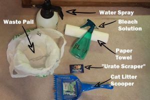 How to clean a snake tank-Supplies