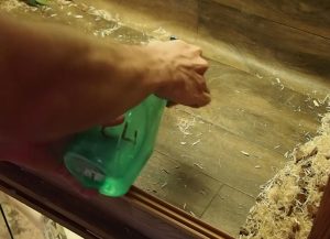 Clean snake tank with bleach solution Clean snake tank with bleach solution