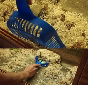 How to clean snake tank with kitty litter scoop