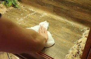 Paper Towel- How to clean a snake tank