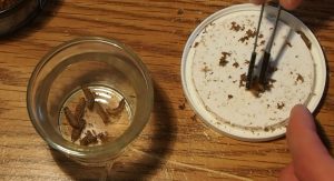 BSFL: best feeder insects BSFL: best feeder insects
