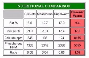 Feeder Insect Nutritional Value Chart