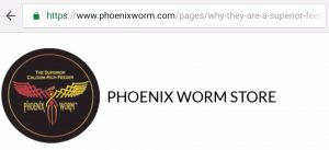 Phoenix Worm: Best feeder Insects