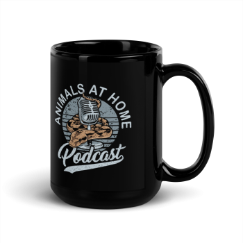 Black Glossy Mug