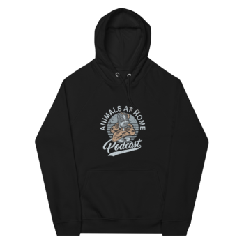 AAH Hoodie (IMPORTANT: see sizing below)