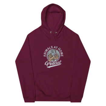 AAH Hoodie (IMPORTANT: see sizing below) - Image 2
