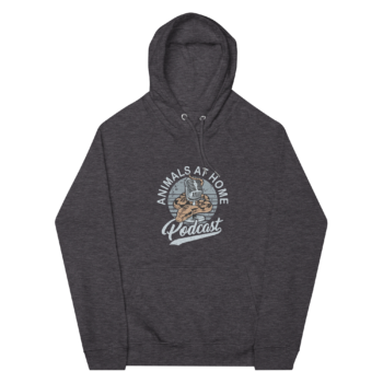 AAH Hoodie (IMPORTANT: see sizing below) - Image 3